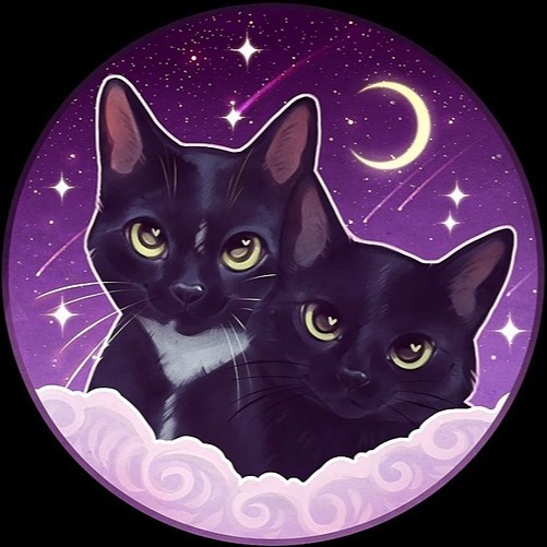cosmickitten